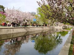 -海棠花溪(元大都城垣遗址公园)