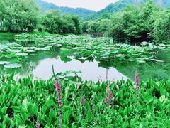 -八卦田遗址公园