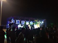 沙滩音乐会-爱琴海假日餐厅(八里湖婚礼公园店)