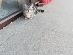 -奉天宴遇烧烤·冒锅