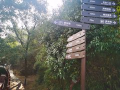 -桃花岭景区