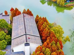 -溱湖国家湿地公园