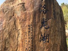 -洛龙公园