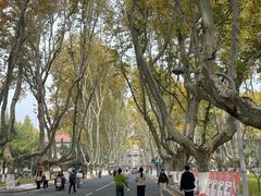 -东南大学(四牌楼校区)