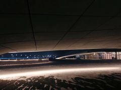 -哈尔滨大剧院