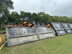 -春花秋色城市公园