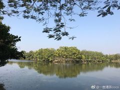 -鹤之洲湿地公园