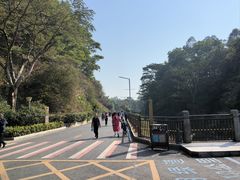 -红花湖景区