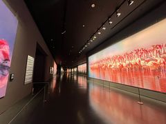 -罗红摄影艺术馆