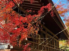 -三千院