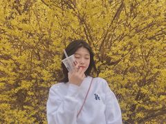-金龙寺国家森林公园