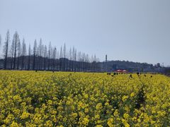 -花溪公园