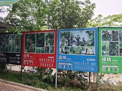 -芦仙山景区-飞越丛林探险乐园