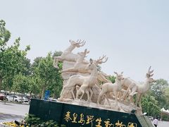 -秦皇岛野生动物园
