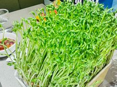 -海底捞火锅(西直门凯德MALL店)