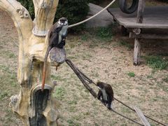 -大连森林动物园