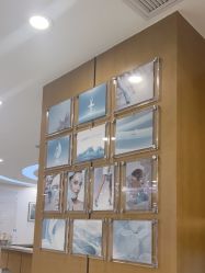 -智美品质医美