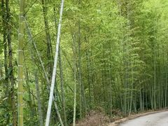 -千泷沟大瀑布旅游区