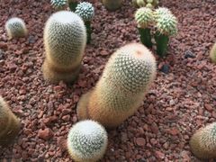 -南通洲际绿博园