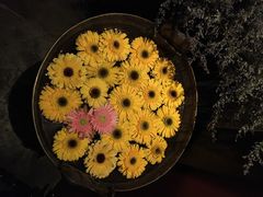 -花马天堂云南餐厅 Lost Heaven(外滩店)