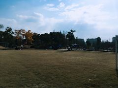 -田园东方蜜桃村的田野营地
