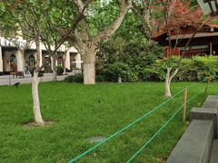 -西湖外事游船(湖滨二公园外事游船码头)