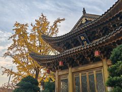 -上海东林寺(金山区)