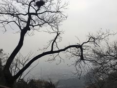 -北京鹫峰国家森林公园