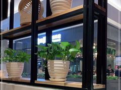 -秦香阁·西北家常菜(徐汇日月光中心店)