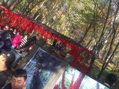 -帽儿山风景区