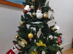 -玛利娅蒙特梭利双语幼儿园·托育(百家湖直营园)