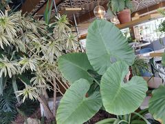 -云里小坐·海泉湾·团建·宴席·下午茶(金堂海泉湾店)