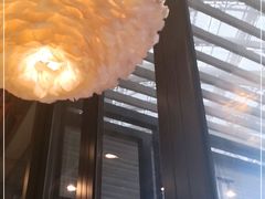 -MR鹅外
