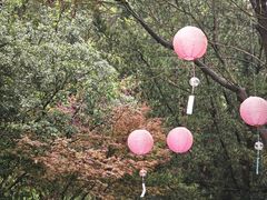 -常德桃花源景区