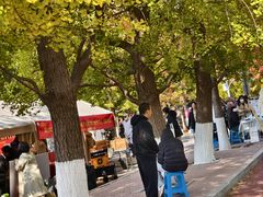 -辽宁大学(崇山校区)