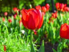 -长春公园(普阳街道)