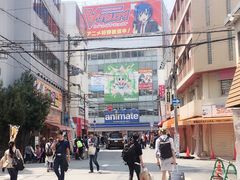 -大起水产回转寿司(道顿堀店)