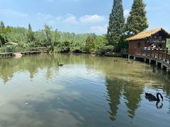 -溱湖国家湿地公园