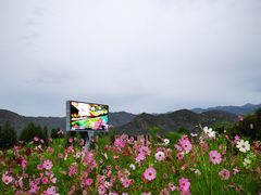 -可可托海景区