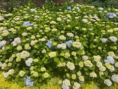 -紫颐香薰山谷景区