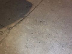 -广州四季酒店