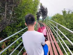 -铜川市金锁关石林