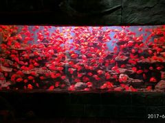 -多彩贵州城极地海洋世界