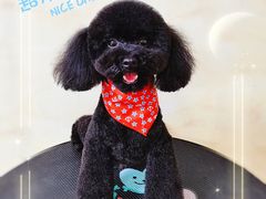 -喵汪宠物生活馆(涞坊路店)