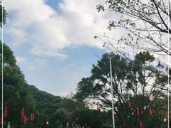 -云溪植物园