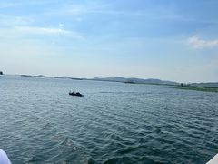 -微山湖红荷湿地景区