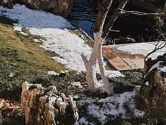 -径山寺
