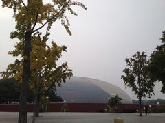 -国家大剧院-停车场