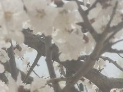 -济南马套将军山