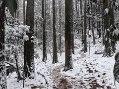 -波尔登森林公园